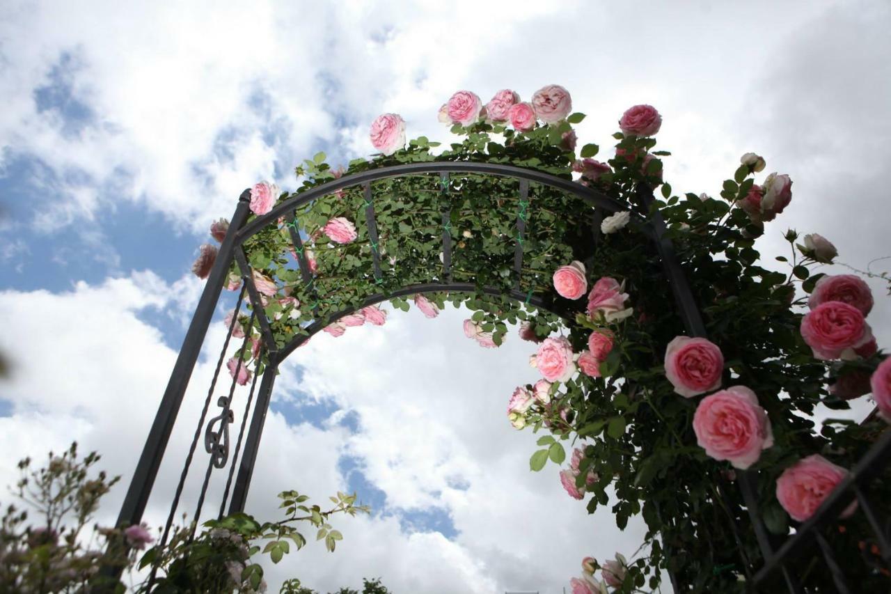 B&B Gattacicova Cava deʼ Tirreni Dış mekan fotoğraf